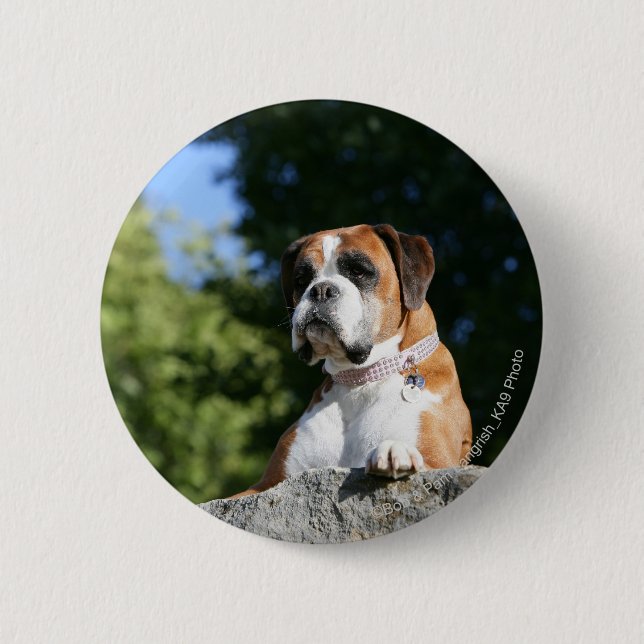 Boxer-Hund, der auf einen Felsen legt Button (Vorderseite)