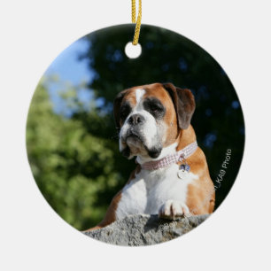 Boxer-Hund, der auf einen Felsen legt Keramikornament