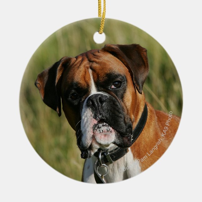 Boxer-Hund, der entlang der Kamera anstarrt Keramik Ornament (Vorne)