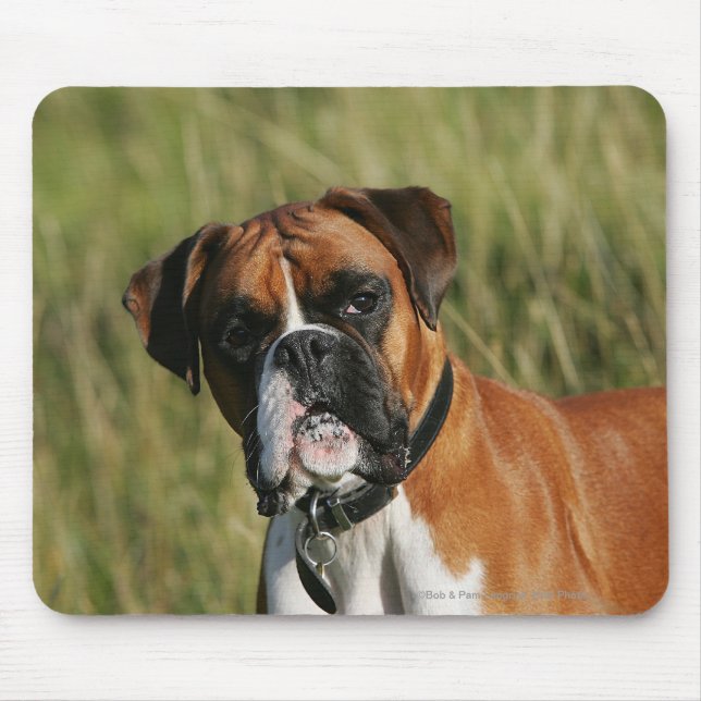 Boxer-Hund, der entlang der Kamera anstarrt Mousepad (Vorne)