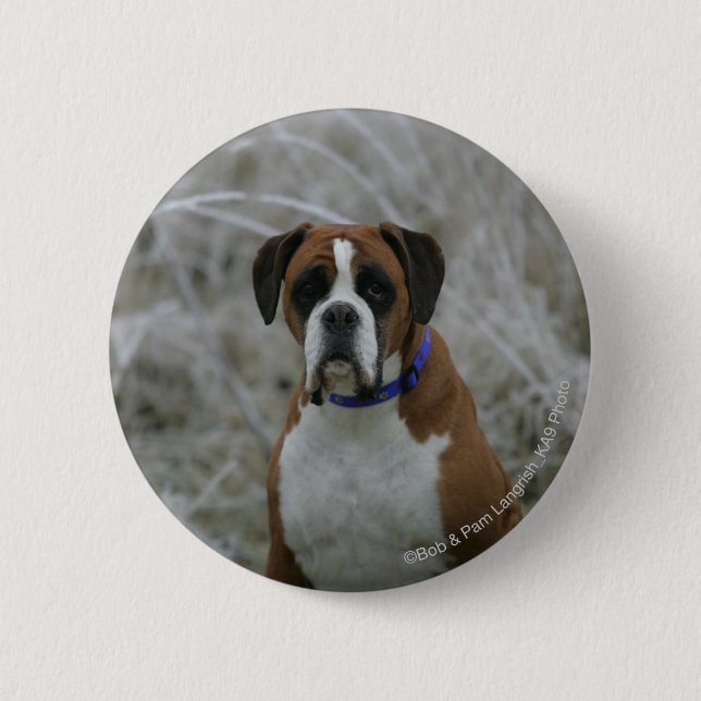 Boxer-Hund, der im Frost sitzt Button (Vorderseite)