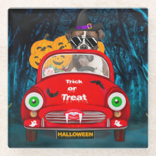 Boxer Hund fährt Auto Gruseliges Halloween Glasuntersetzer