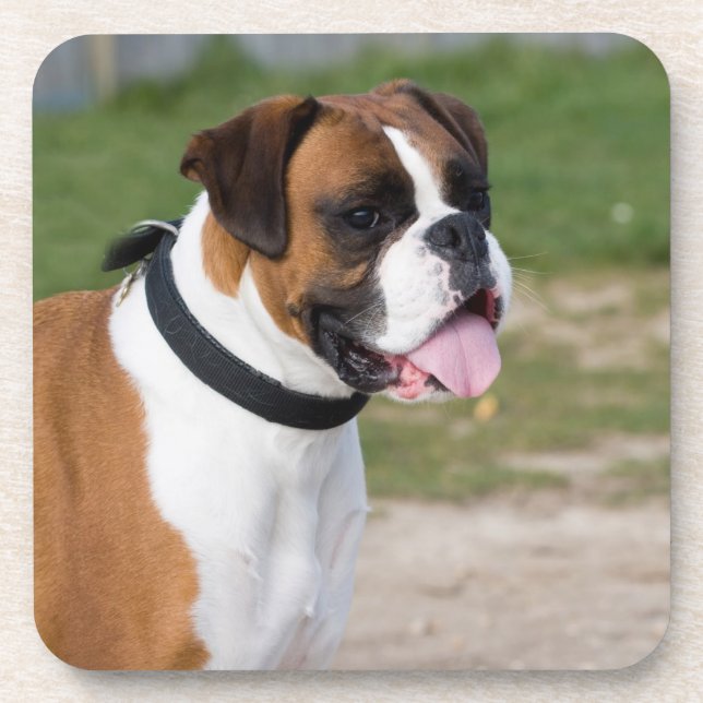 Boxer-Hund-Foto Hartplastik-Untersetzer Untersetzer (Vorderseite)