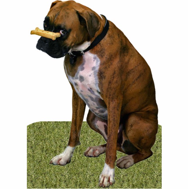 Boxer-Hund Fotoskulptur Magnet (Vorne)