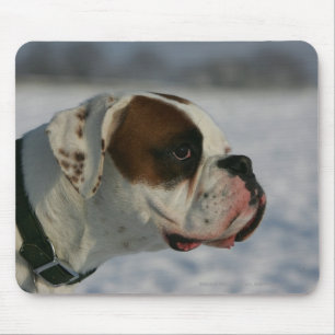 Boxer-Hund im Schnee Mousepad