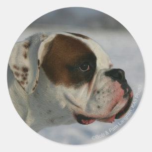 Boxer Hund im Schnee Runder Aufkleber