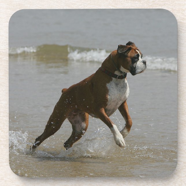 Boxer-Hund im Wasser Untersetzer (Vorderseite)