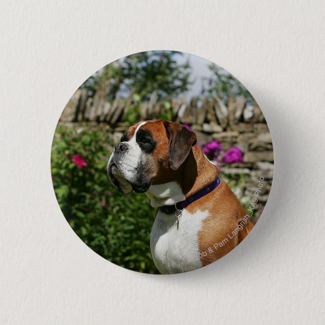Boxer-Hund in den Blumen Button (Vorderseite)