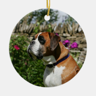 Boxer-Hund in den Blumen Keramik Ornament