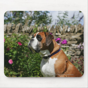Boxer-Hund in den Blumen Mousepad