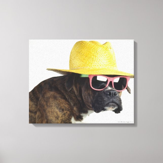 Boxer Hund mit Hut und Brille Leinwanddruck (Vorderseite)