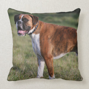 Boxer-Hund stehend Kissen