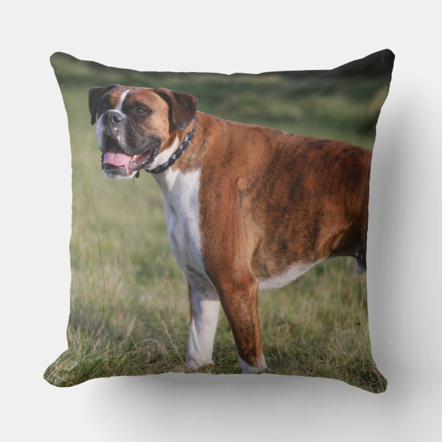 Boxer-Hund stehend Kissen (Vorderseite)