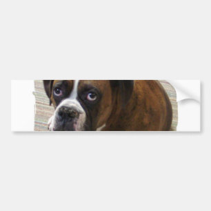 Boxer-HundeAutoaufkleber Autoaufkleber