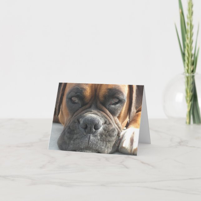 Boxer-Hundefreier raum Notecard Karte (Vorderseite)