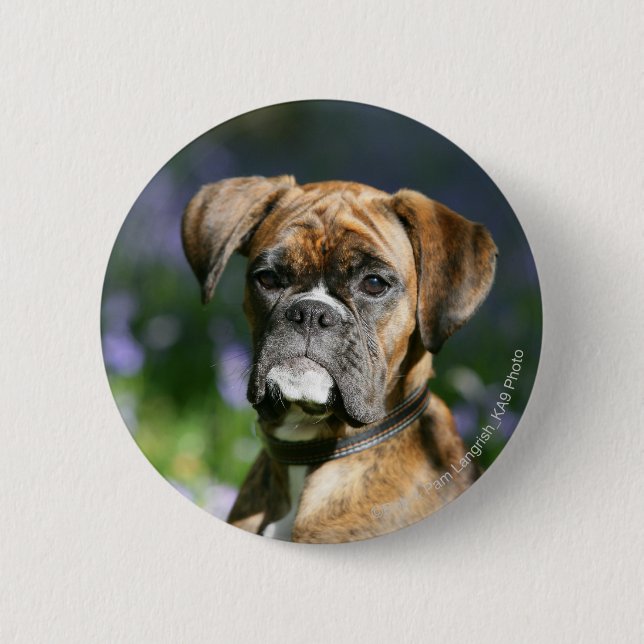 Boxer-HundeHeadshot Button (Vorderseite)