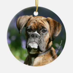 Boxer-HundeHeadshot Keramikornament