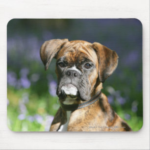 Boxer-HundeHeadshot Mousepad