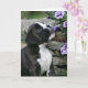 Boxer-Hundekeuchen Karte (Orchid)