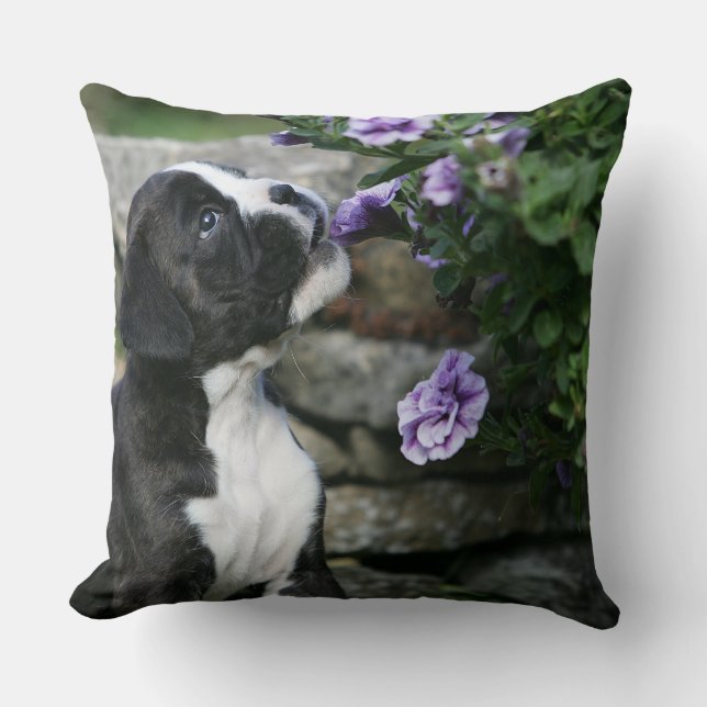 Boxer-Hundekeuchen Kissen (Vorderseite)