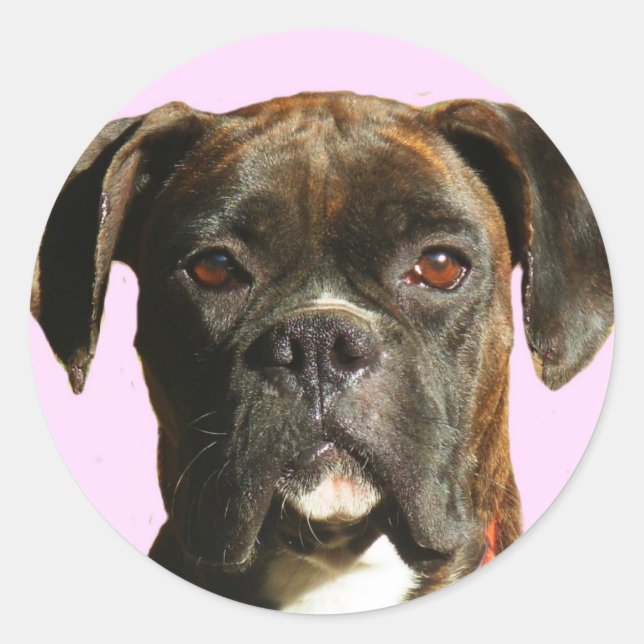 Boxer-Hundekleber Runder Aufkleber (Vorderseite)