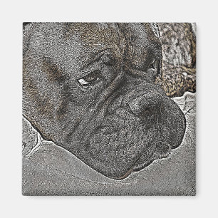 Boxer-Hundemagnet Magnet