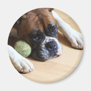 Boxer-Hundemagnet Magnet
