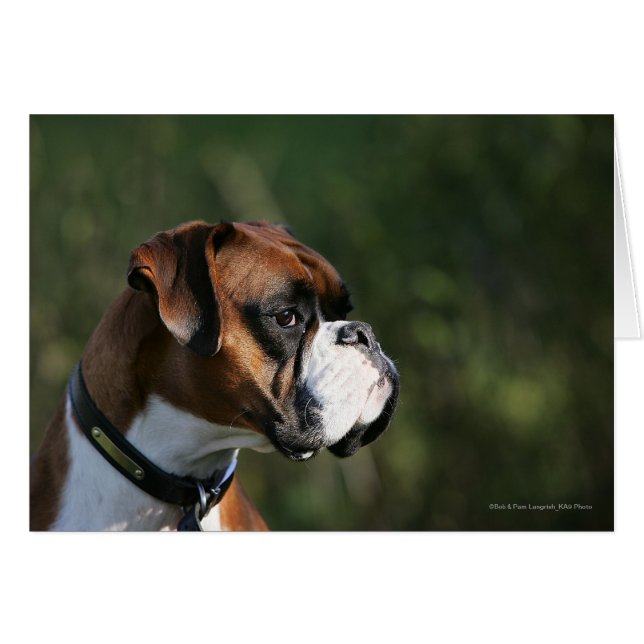 Boxer Hundeseite Profil (Vorderseite (Horizontal))