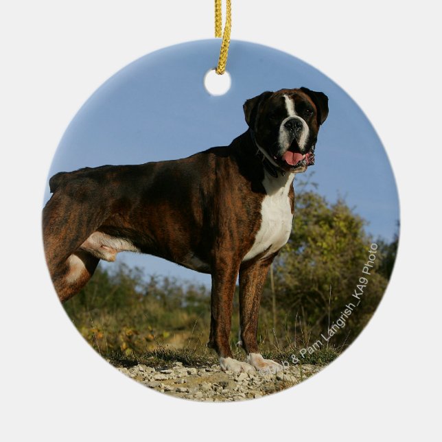Boxer-Hundeshow-Position Keramik Ornament (Vorne)