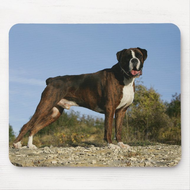 Boxer-Hundeshow-Position Mousepad (Vorne)