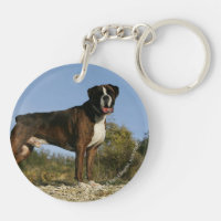 Boxer-Hundeshow-Position