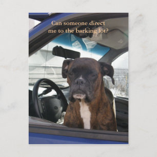 Boxer im Fahrersitz im niederländischen Hafen, AK Postkarte
