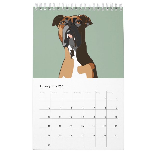 Boxer Kalender (Jan 2027)