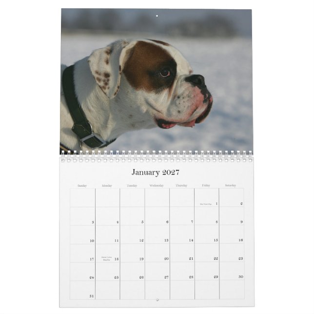 Boxer Kalender (Jan 2027)