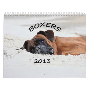 Boxer-Kalender 2013 Kalender