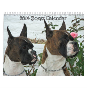 Boxer-Kalender 2014 Kalender