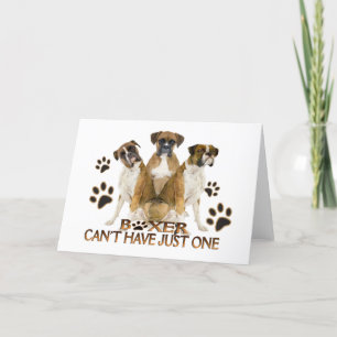 Boxer kann nicht nur eine Karte haben