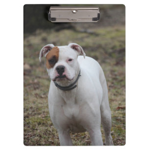 Boxer Klemmbrett