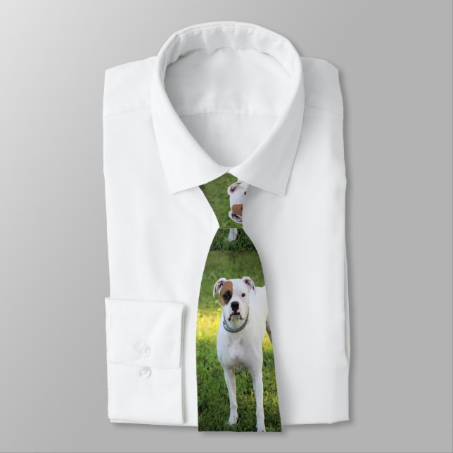 Boxer Krawatte (Gebunden)