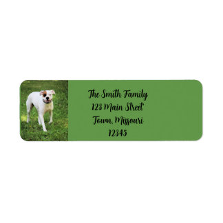 Boxer-Label