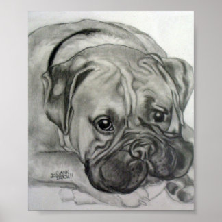 "Boxer Liebe"- Originalkunstwerk von Carol Zeock Poster