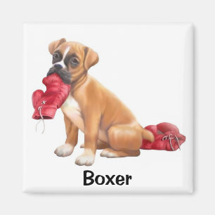 Boxer Magnet