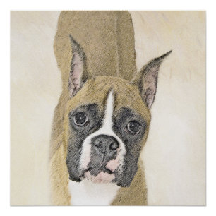 Boxer-Malerei - Niedliche Original Hunde-Kunst Poster