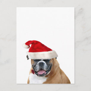 Boxer mit Weihnachtsmannmütze Feiertagspostkarte