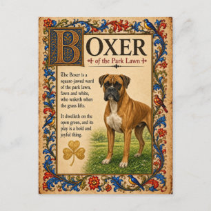 Boxer, mittelalterliche Bestiarien-Kunst Postkarte