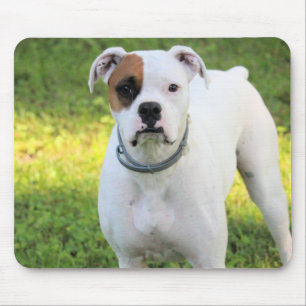 Boxer Mousepad