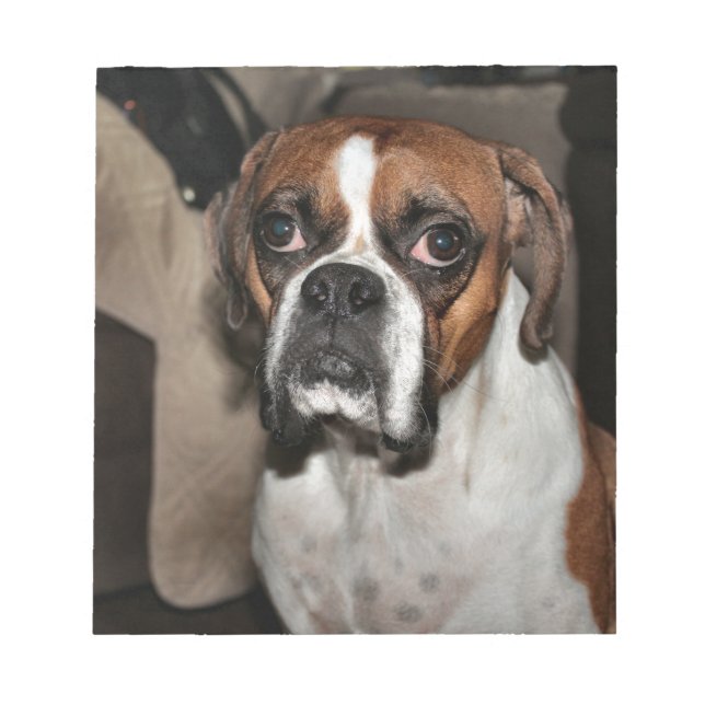 Boxer Notizblock (Vorderseite)