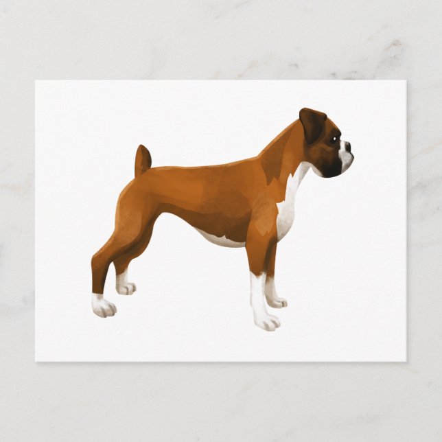 Boxer Postkarte (Vorderseite)