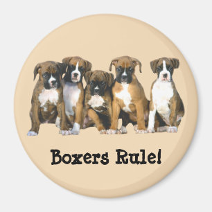 Boxer Puppies Magnet