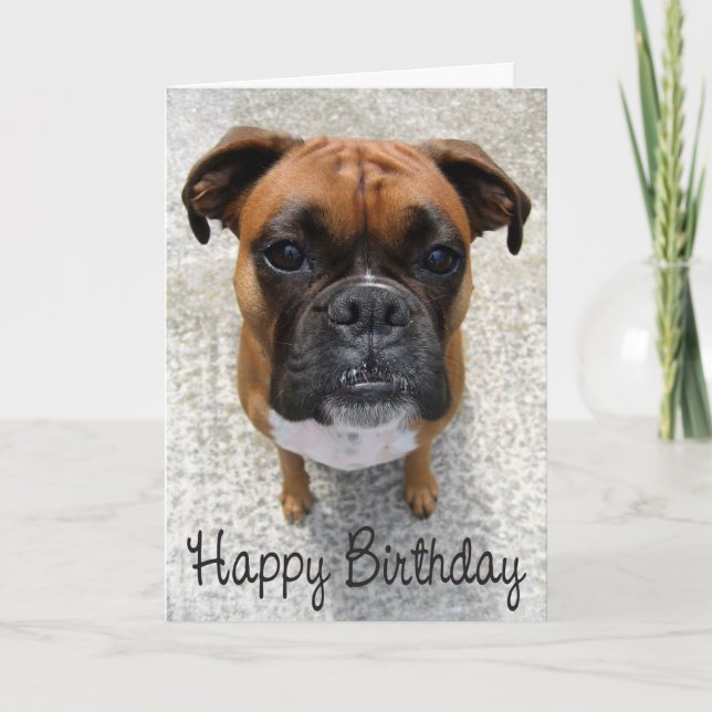 Boxer Puppy Dog Happy Birthday Card - Verse Karte (Vorderseite)